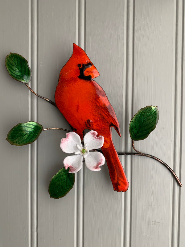 Male Cardinal with Dogwood