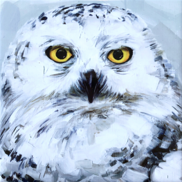 Snow Owl Trivet - Other Edgecomb Potters