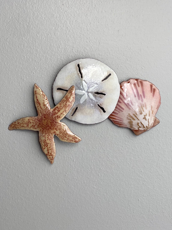 Starfish, Sand Dollar and Seashell - Metal Edgecomb Potters
